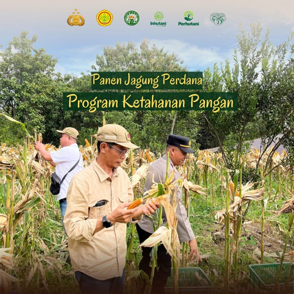 Dokumentasi Kegiatan PT. MITRA JERUK LESTARI • BERKAT ESTATE Senin 16 Juni 2025