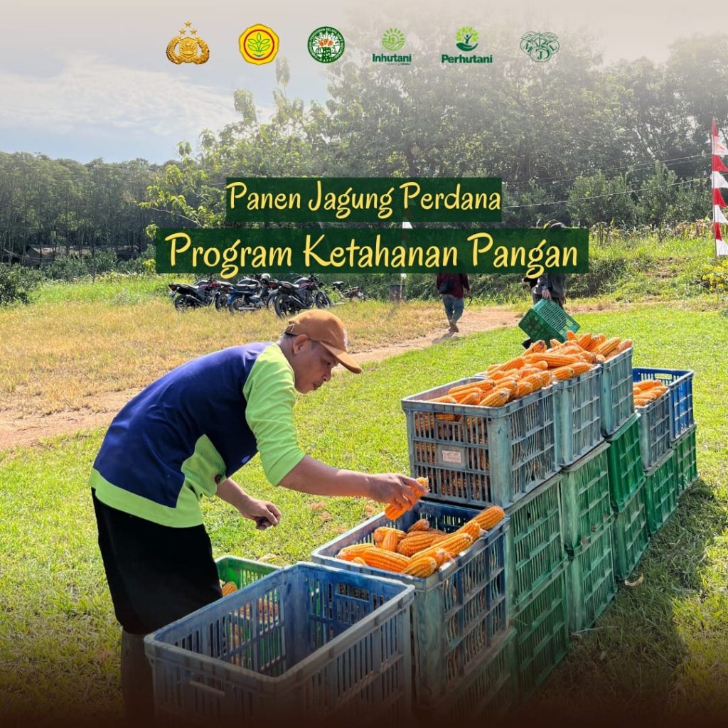 Dokumentasi Kegiatan PT. MITRA JERUK LESTARI • BERKAT ESTATE Senin 16 Juni 2025